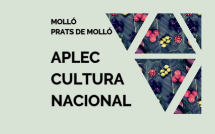 Aplec Cultural a Prats de Molló